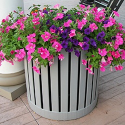 Planting container at shopping center