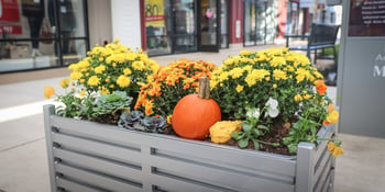 Fall planting container at shopping center