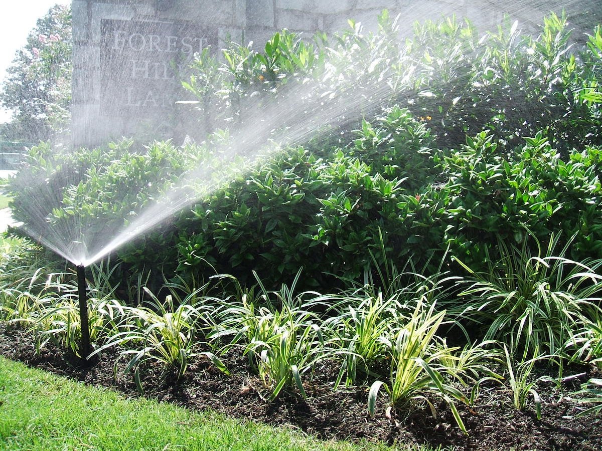 plant bed with mulch and irrigation