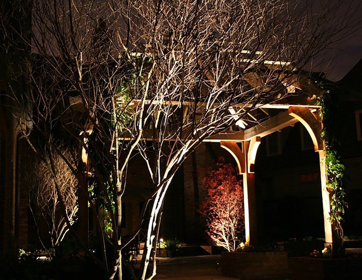 tree landscape lighting