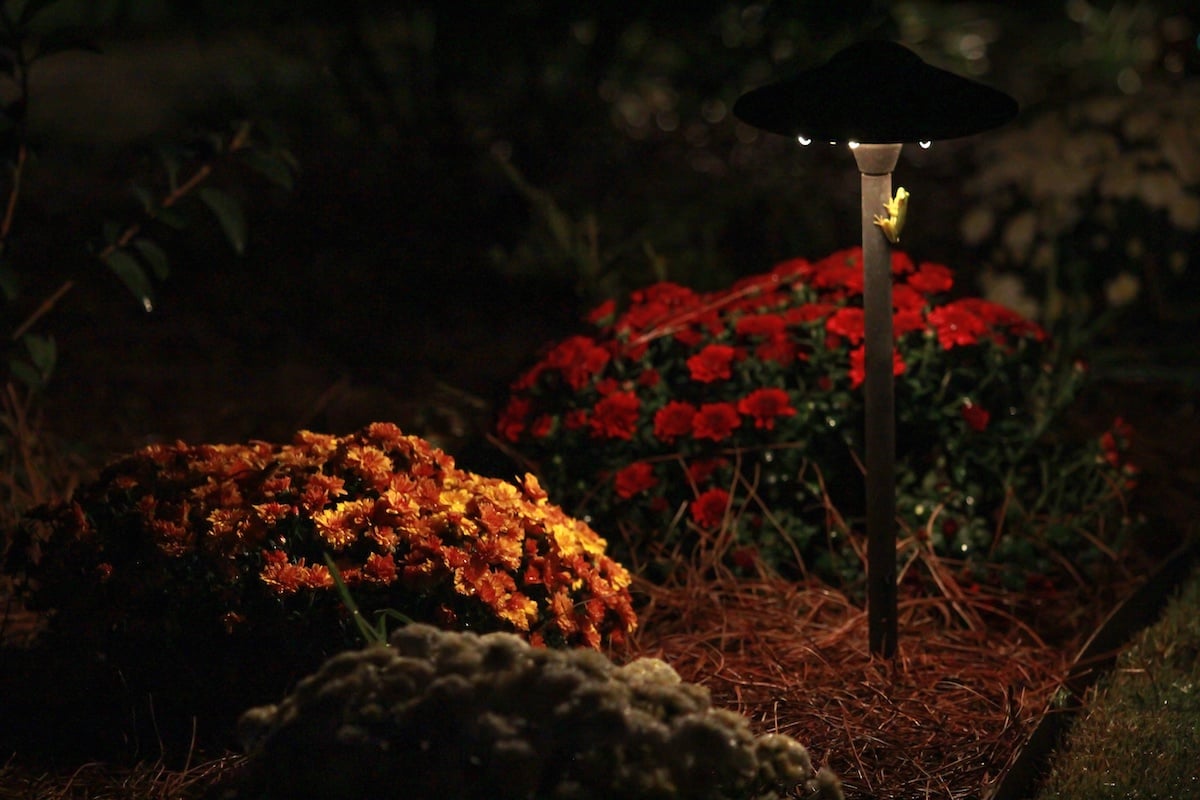 plant landscape lighting